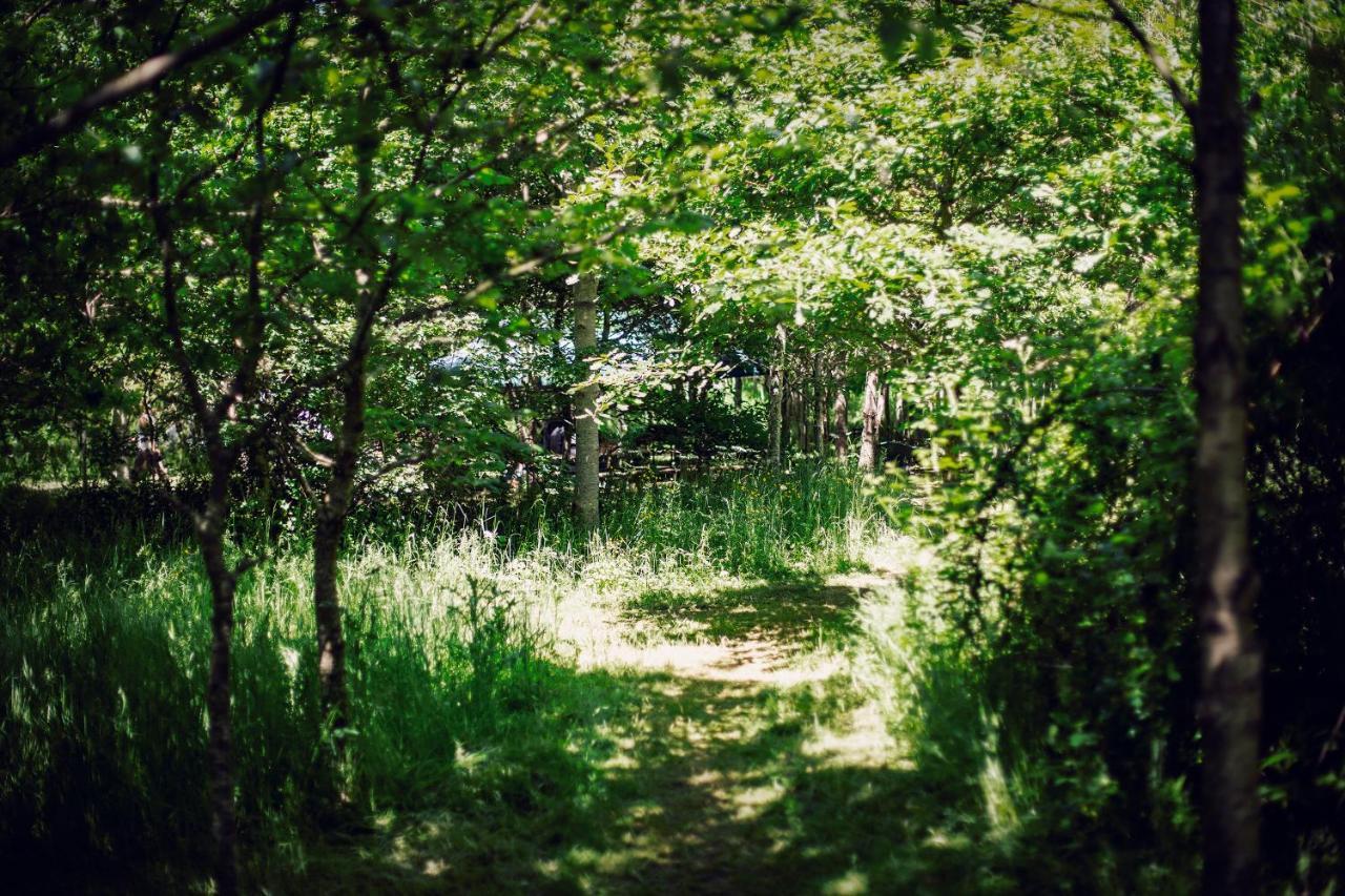 מלון South Barrow Dgg Woodland Escape מראה חיצוני תמונה