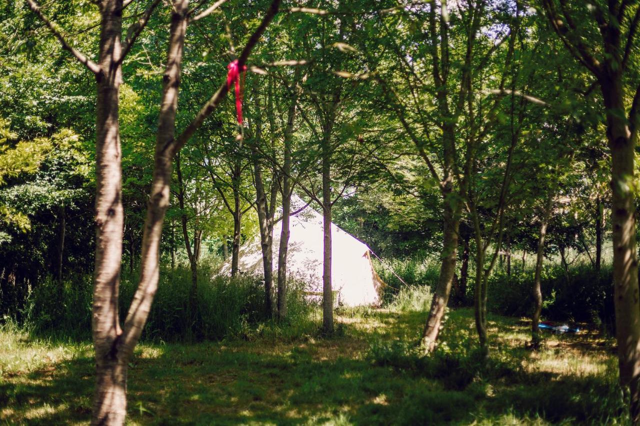 מלון South Barrow Dgg Woodland Escape מראה חיצוני תמונה