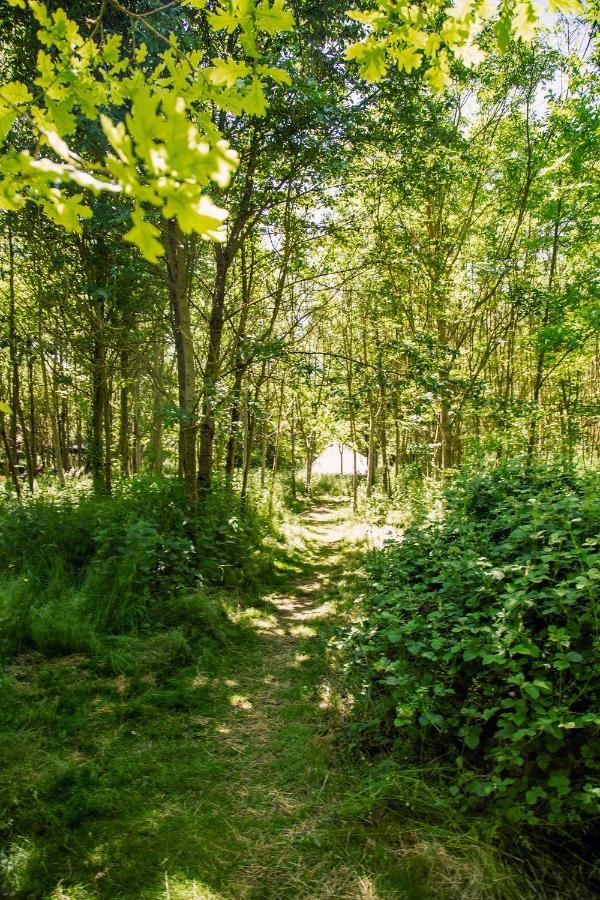 מלון South Barrow Dgg Woodland Escape מראה חיצוני תמונה