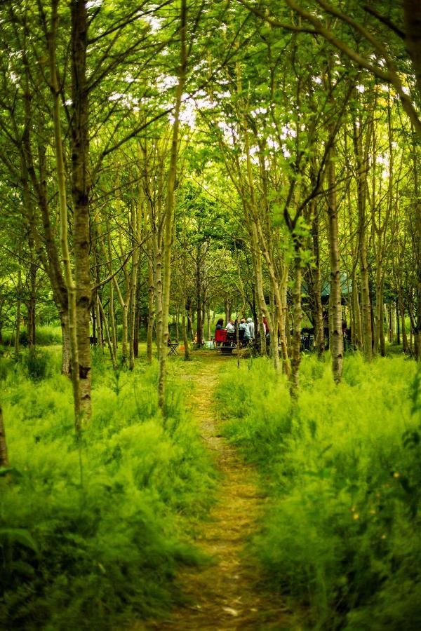 מלון South Barrow Dgg Woodland Escape מראה חיצוני תמונה